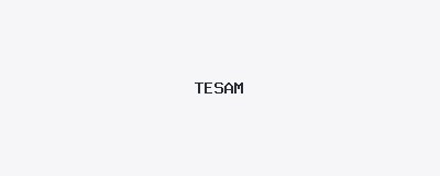 TESAM