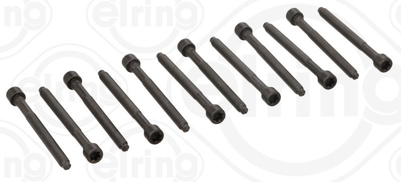 Cylinder Head Bolt Set ELRING 005.610