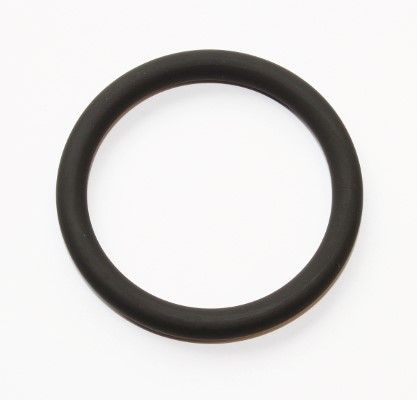 Seal Ring ELRING 199.310