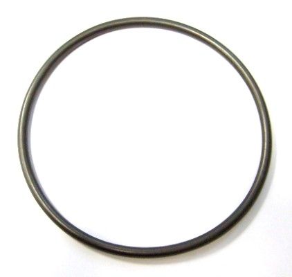 Seal Ring ELRING 893.189