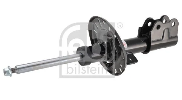 Amortizatorius FEBI BILSTEIN 1002296