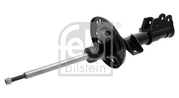 Amortizatorius FEBI BILSTEIN 1002373