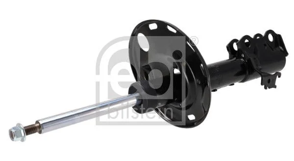 Amortizatorius FEBI BILSTEIN 1002434