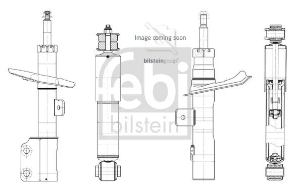 Amortizatorius FEBI BILSTEIN 1002452