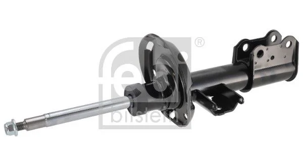 Amortizatorius FEBI BILSTEIN 1002745