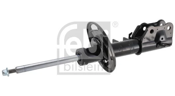 Amortizatorius FEBI BILSTEIN 1002790