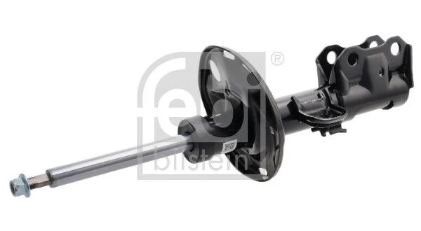Amortizatorius FEBI BILSTEIN 1002817