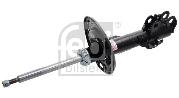 Amortizatorius FEBI BILSTEIN 1002893