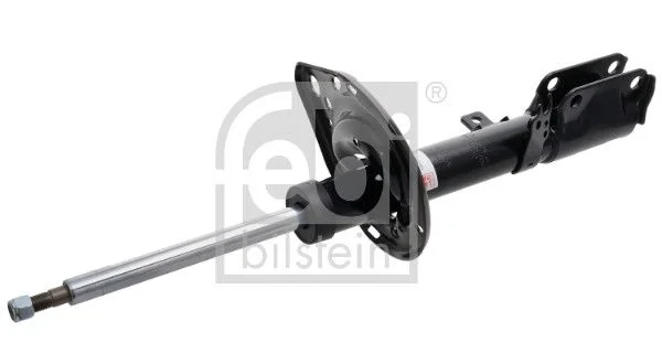 Amortizatorius FEBI BILSTEIN 1002898