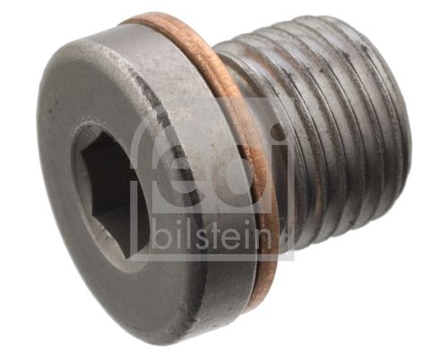 Užsukamas kamštis, ašies pavara FEBI BILSTEIN 101021