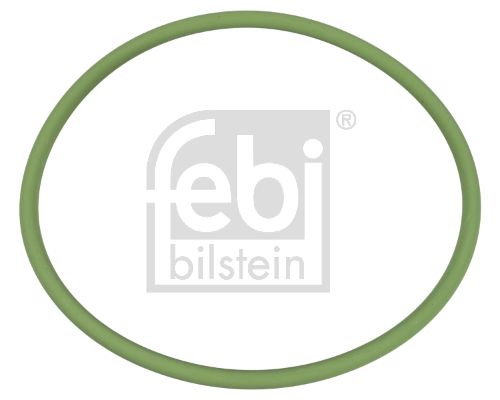 Brtva, pumpa za gorivo FEBI BILSTEIN 174461