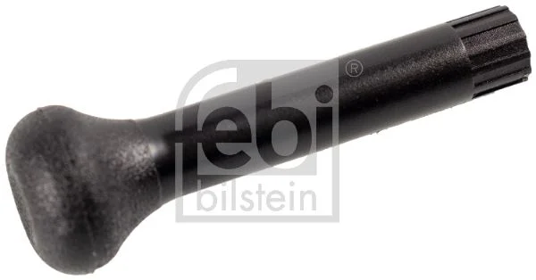 Užrakinimo mygtukas FEBI BILSTEIN 10029