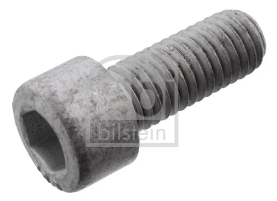 Ašies varžtas, kardaninis velenas FEBI BILSTEIN 101234