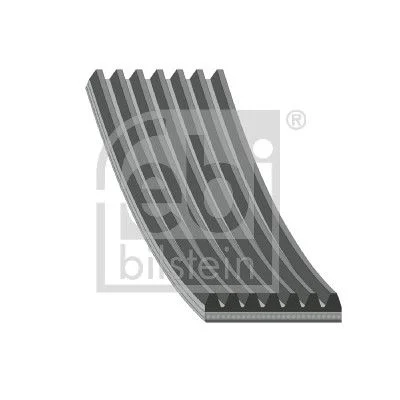 V-ribbed Belt FEBI BILSTEIN 174115