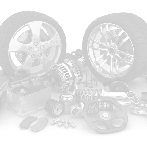Skriemulys, vandens siurblys FEBI BILSTEIN 30124