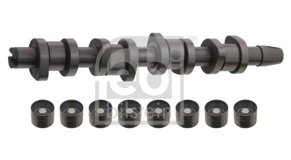 Camshaft Kit FEBI BILSTEIN 33195