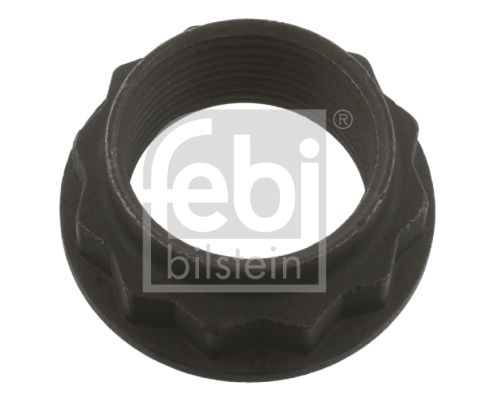 Nut, input shaft (differential) FEBI BILSTEIN 36662