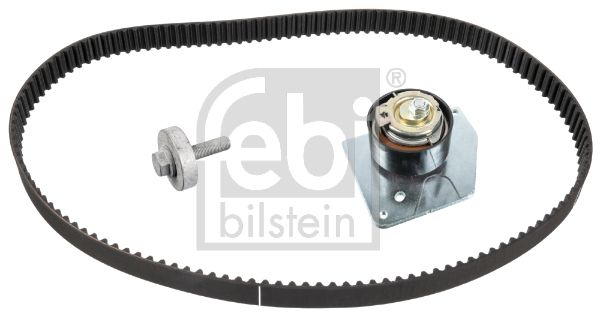 Paskirstymo diržo komplektas FEBI BILSTEIN 43669