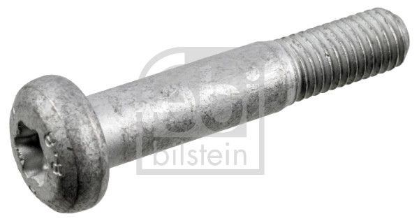Затискний гвинт, нижній/верхній кульовий шарнір FEBI BILSTEIN 45878