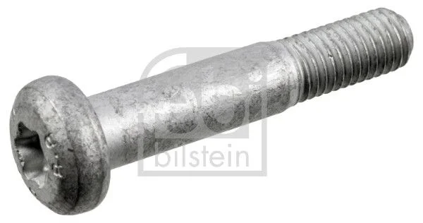 Užveržimo varžtas, atrama/vairo trauklė FEBI BILSTEIN 45878