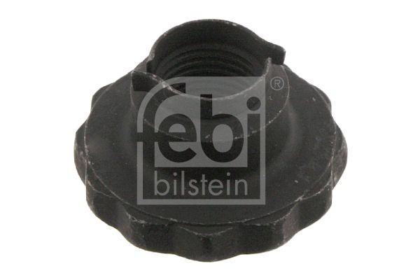 Гайка, цапфа осі FEBI BILSTEIN 46689