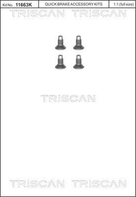 Varžtų komplektas, stabdžių diskas TRISCAN 8105 116004
