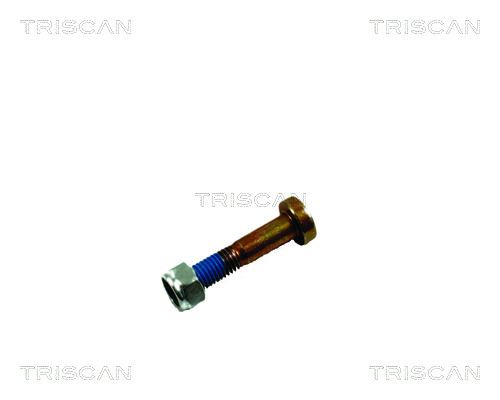 Mounting and Bolting Kit, control/trailing arm TRISCAN 8500 16861