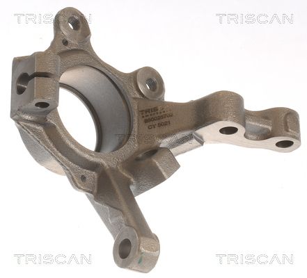 Steering Knuckle, wheel suspension TRISCAN 8500 25702