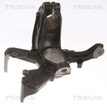 Steering Knuckle, wheel suspension TRISCAN 8500 29702