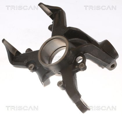 Steering Knuckle, wheel suspension TRISCAN 8500 29703