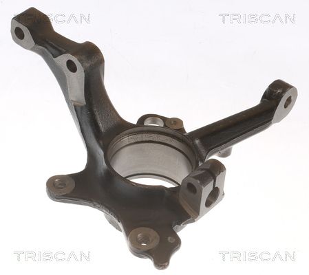 Steering Knuckle, wheel suspension TRISCAN 8500 29718