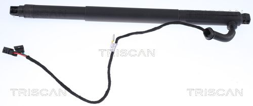 Gas Spring, boot/cargo area TRISCAN 8710 11301