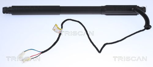 Gas Spring, boot/cargo area TRISCAN 8710 11304