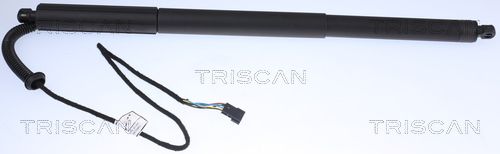 Gas Spring, boot/cargo area TRISCAN 8710 11305