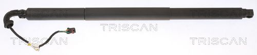 Gas Spring, boot/cargo area TRISCAN 8710 29308