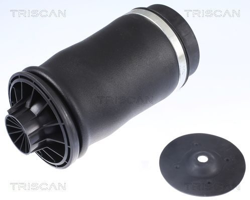 Air Spring, suspension TRISCAN 8720 23204