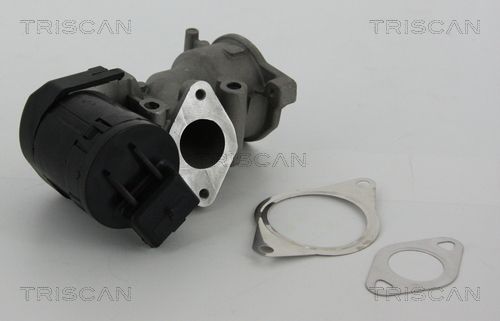 EGR Valve TRISCAN 8813 10001