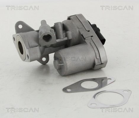 EGR Valve TRISCAN 8813 10002