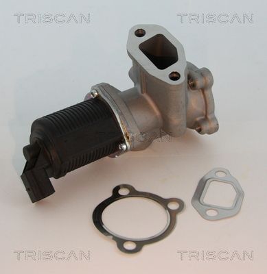 EGR Valve TRISCAN 8813 10003