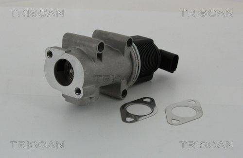 ERG vožtuvas TRISCAN 8813 10005