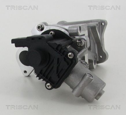 EGR Valve TRISCAN 8813 10007