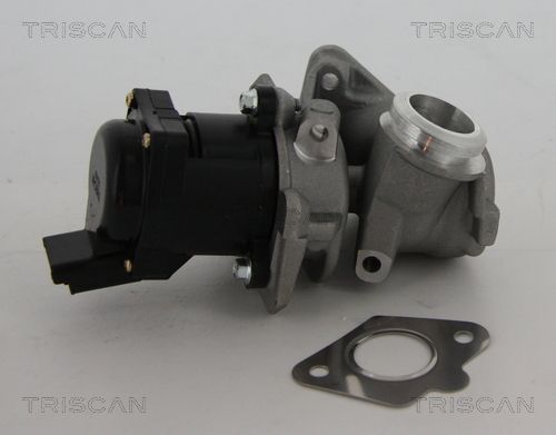 EGR Valve TRISCAN 8813 10010