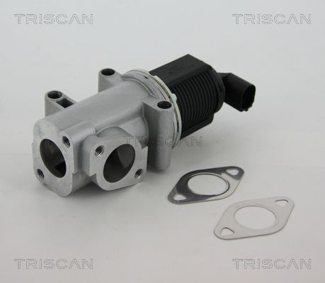 EGR Valve TRISCAN 8813 10015