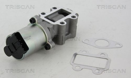 EGR Valve TRISCAN 8813 13102