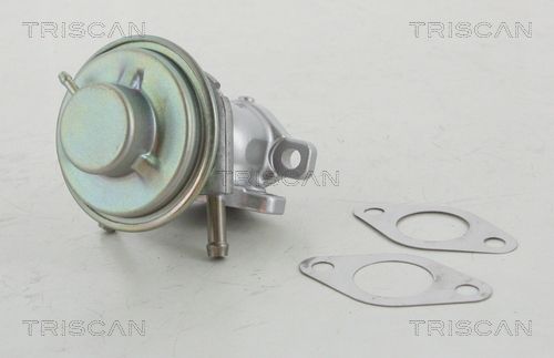 EGR Valve TRISCAN 8813 15029