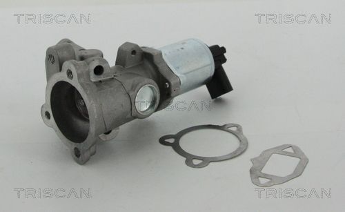 EGR Valve TRISCAN 8813 15052