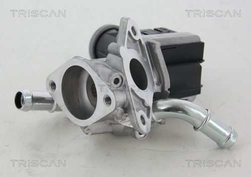 EGR Valve TRISCAN 8813 16036