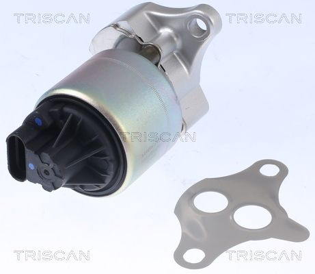 EGR Valve TRISCAN 8813 21001