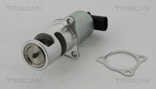 EGR Valve TRISCAN 8813 24037