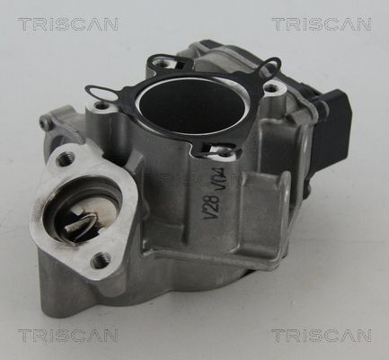 EGR Valve TRISCAN 8813 24039